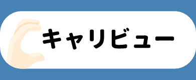 キャリビュー